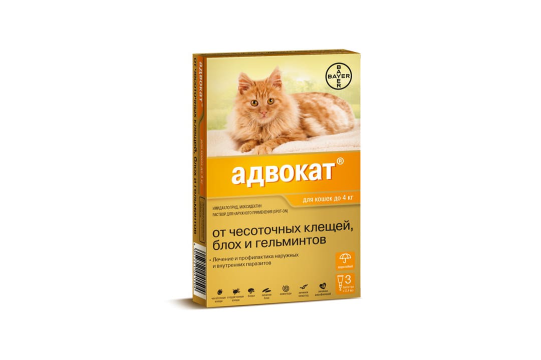Ветеринарный препарат Адвокат для кошек: инструкция по применению -  Вет-препараты